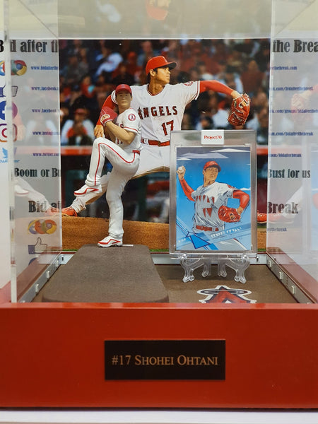 Shohei Ohtani - Custom Collector Case - Pitching